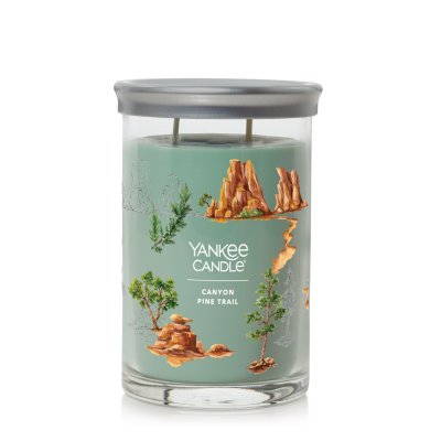 Mister Wizard  Le fragranze Yankee Candle del mese di Agosto: Midnight  Jasmine e Black Coconut