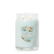 Yankee Candle Aloe & Agave Jar Candle