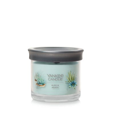 Aloe & Agave