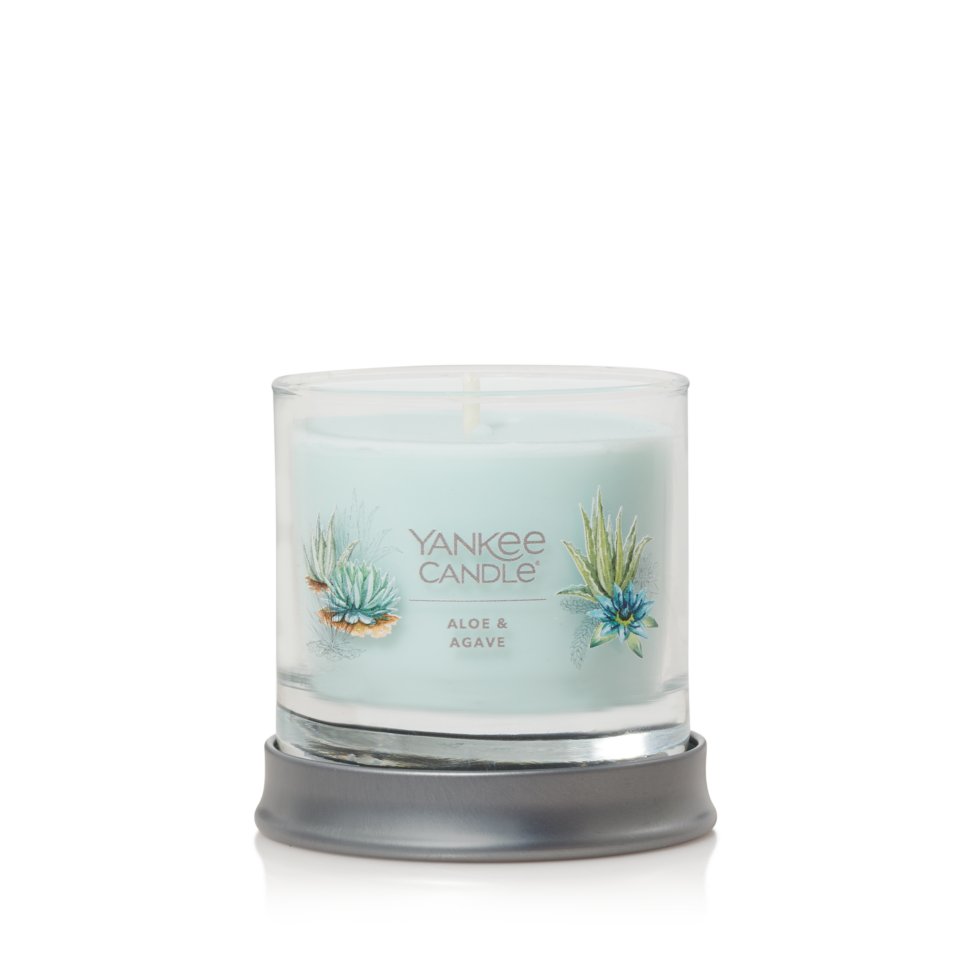aloe and agave small tumbler candle with lid as base