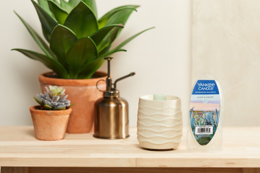 two plants in beige pots and a silver watering canister next to a sandstone electric wax warmer and aloe and agave wax melts all on a wood table