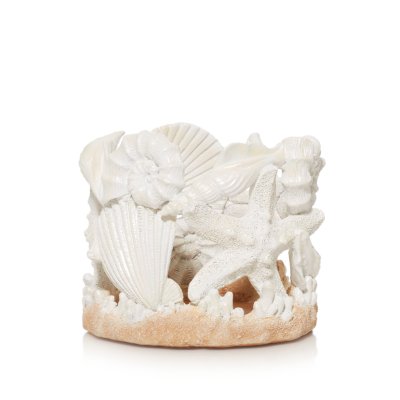 Seashells and Starfish Holder Beach Day Collection Jar Candle Holder