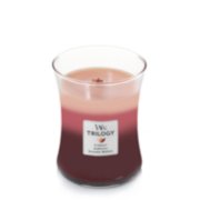 currant and ambrosia and sugared berries trilogy medium jar candle image number 1