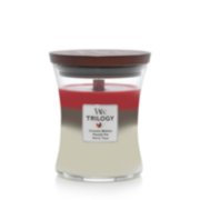 crimson berries frasier fir and white teak trilogy medium jar candle