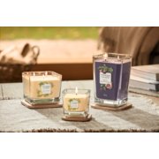 fig and clove tonka bean and pumpkin large 2 wick and medium 3 wick and small 1 wick candles image number 2