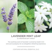 photo collage portraying chesapeake bay candle lavender mint leaf fragrance in 2d with fragrance description image number 3