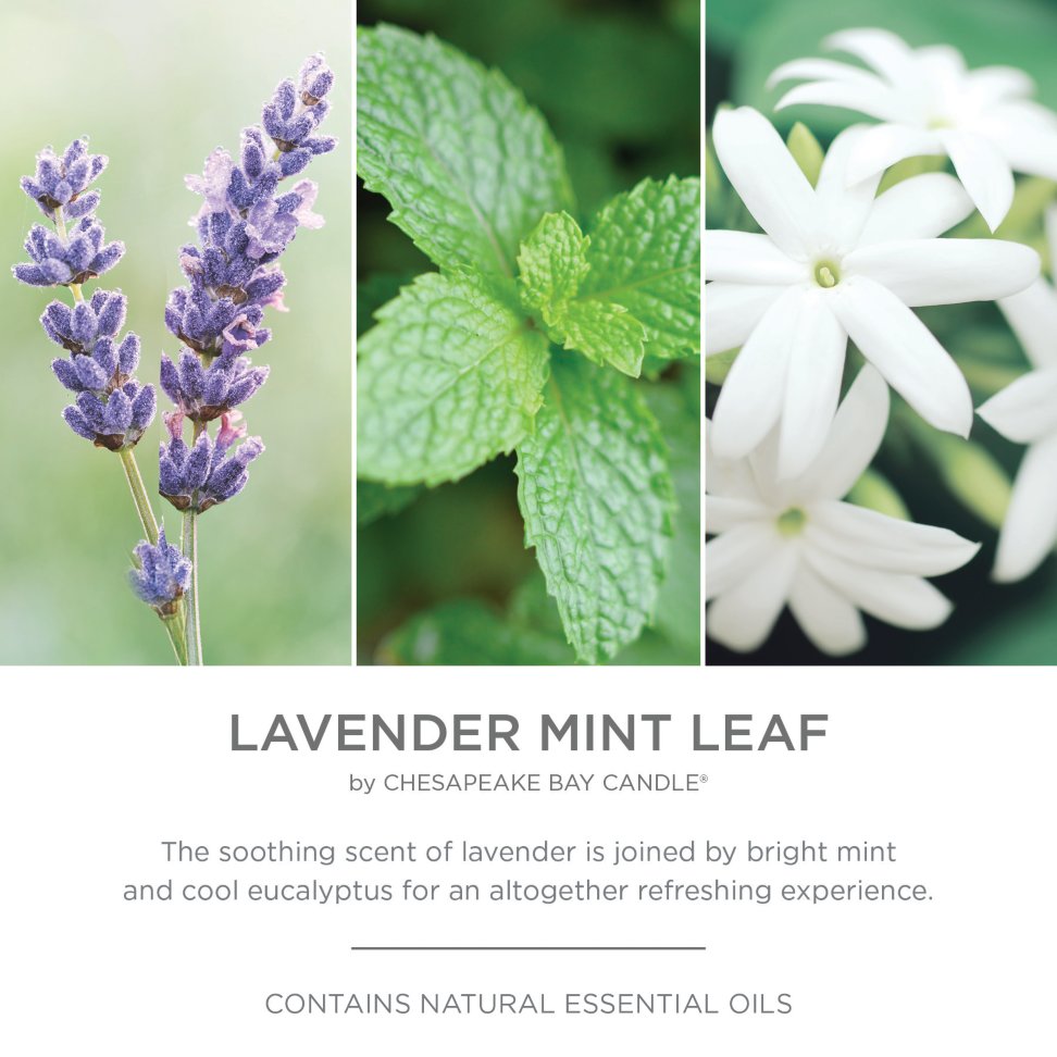 photo collage portraying chesapeake bay candle lavender mint leaf fragrance in 2d with fragrance description