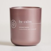 chesapeake bay candle intentions collection be calm coconut santal medium two wick candle in a white backdrop image number 1