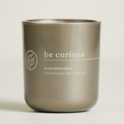 chesapeake bay candle intentions collection be curious black birch cedar medium two wick candle in a white backdrop image number 1