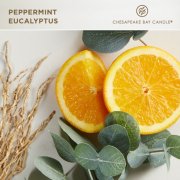 chesapeake bay candle peppermint eucalyptus fragrance in 2D image number 3