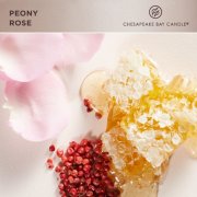chesapeake bay candle peony rose fragrance in 2D image number 3