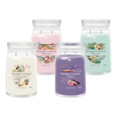 Signature 4 Piece Large Jar Candle Set - Under The Desert Sun