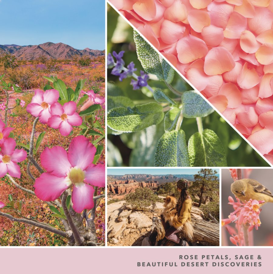 fragrance notes images with rose petals sage and beautiful desert discoveries
