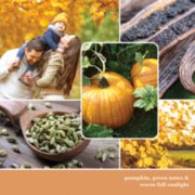 autumn photo collage with text that reads pumpkin and green notes and warm fall sunlight image number 2
