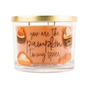 you are the pumpkin to my spice pumpkin pie chesapeake bay candle 3 wick jar candle image number 1