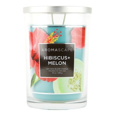 Hibiscus + Melon