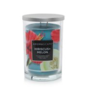 hibiscus melon aromascape collection large jar candle image number 1