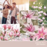Romantic Magnolia & Lily image number 1