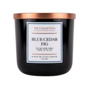 the collection blue cedar fig medium 2 wick tumbler candle image number 1