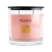 blush orchid medium 2 wick tumbler candle image number 1