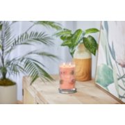 tropical breeze signature large tumbler candle on table image number 3