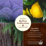 photo collage of woodwick renew collection lavender and cypress image number 2