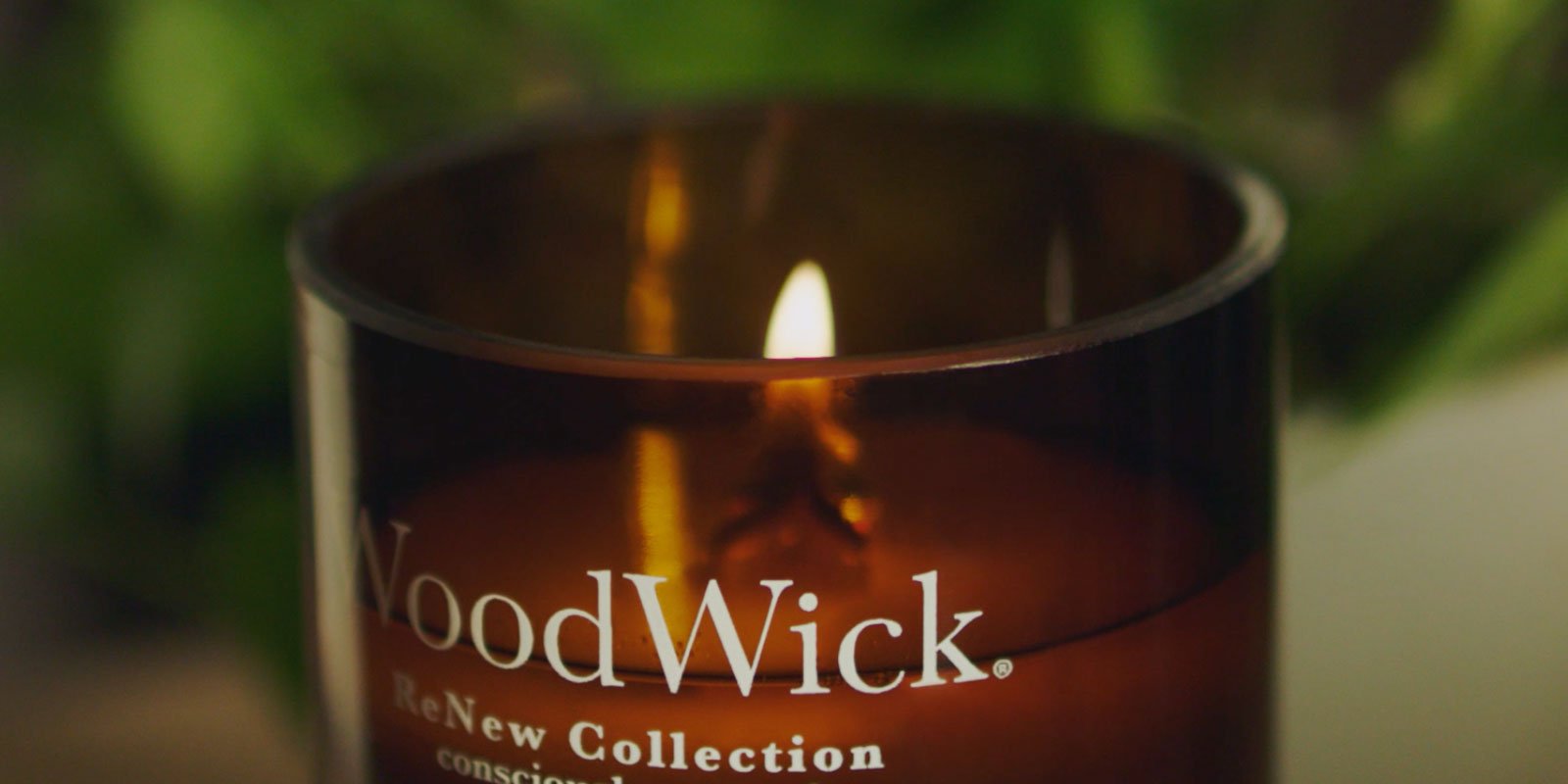 ReNew Collection WoodWick Candle