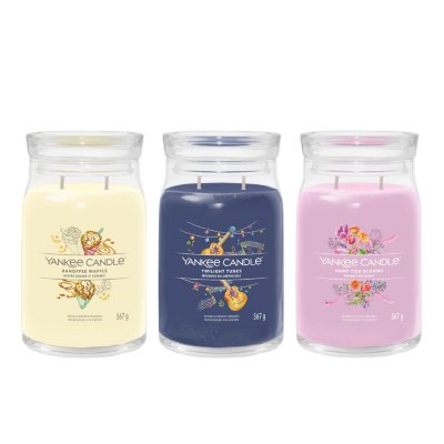 Art in the Park 3 Piece Signature Large Jar Candle Set - Summer