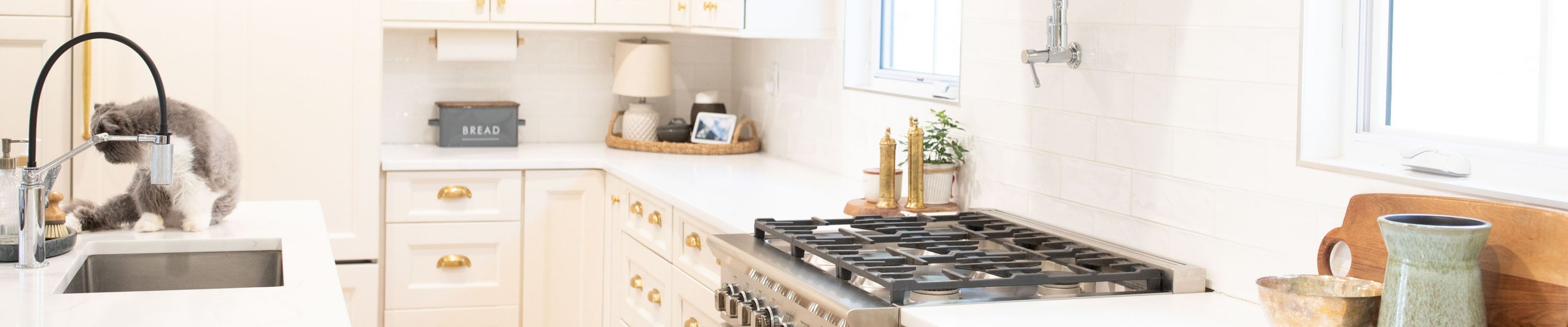 kitchen with stove sink and gray and white cat