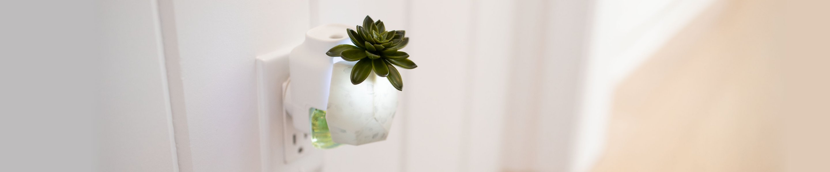 succulent in white pot scentplug diffuser in outlet
