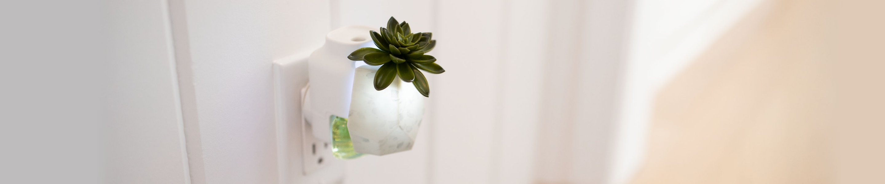 succulent in white pot scentplug diffuser in outlet
