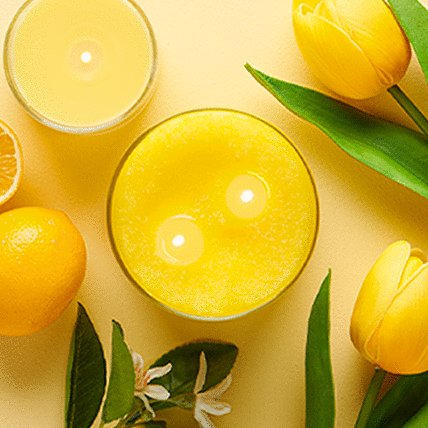 Shop By Fragrance | Yankee Candle