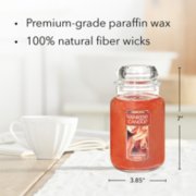 cinnamon stick original large jar candle with product information image number 4