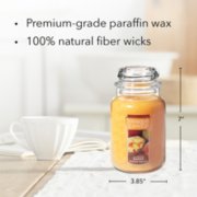 mango peach salsa original large jar candle with product information image number 4