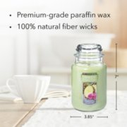 pineapple cilantro original large jar candle with product information image number 4