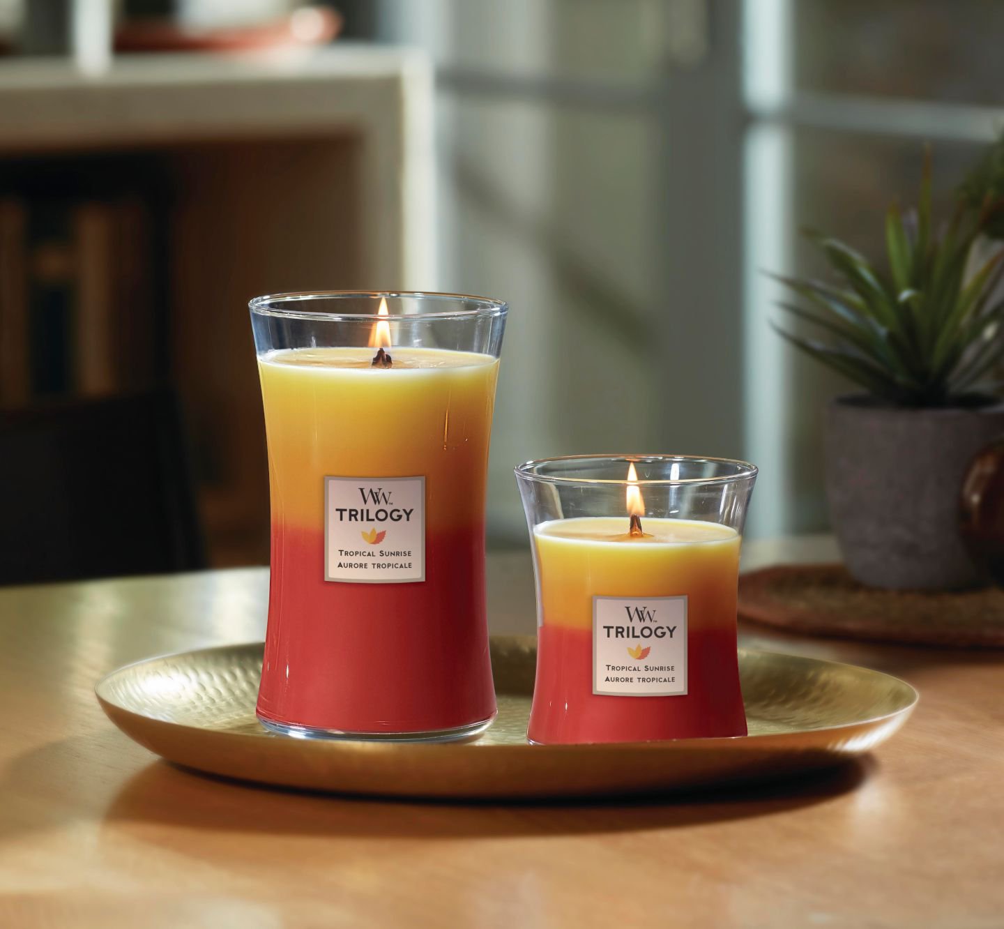 À propos de WoodWick® WoodWick Candle